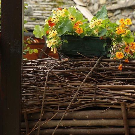 Residence Casa Dei Fiori Alagna Valsesia Bagian luar foto