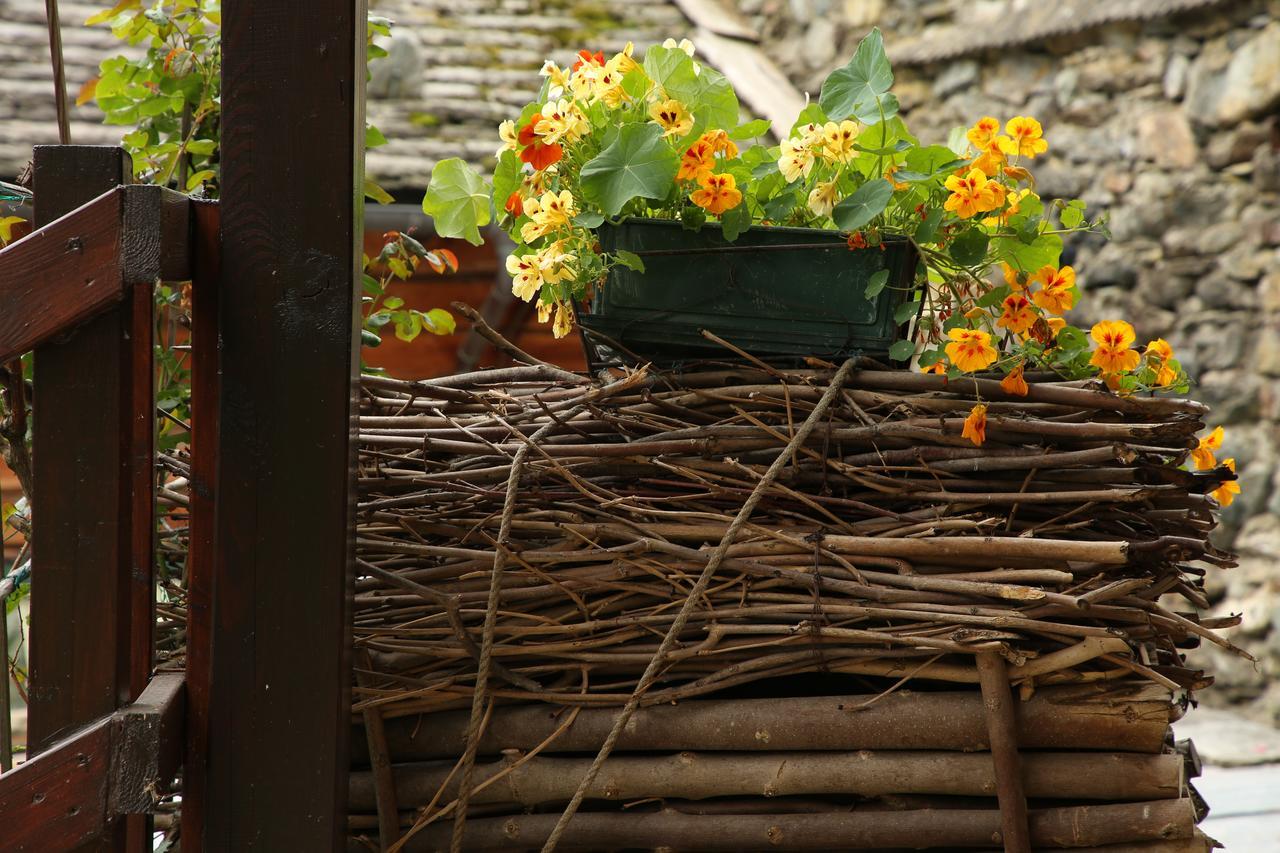 Residence Casa Dei Fiori Alagna Valsesia Bagian luar foto